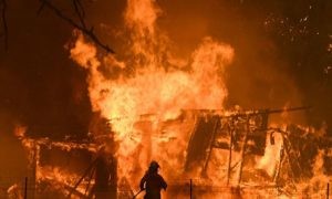 Avustralya Yangınları İçin Eczacıbaşılılardan Farkındalık