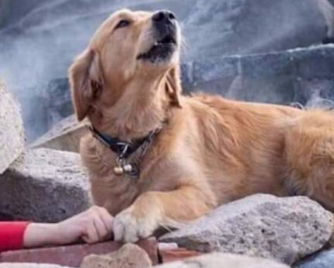 fotograflarin-elazig-depreminden-oldugu-iddiasi(1)